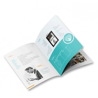 Brochure and Catalogue printing