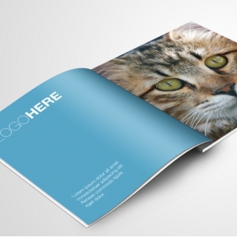 Brochure and Catalogue printing